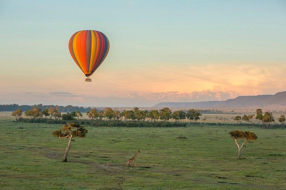 Hot Air Balloon Safari